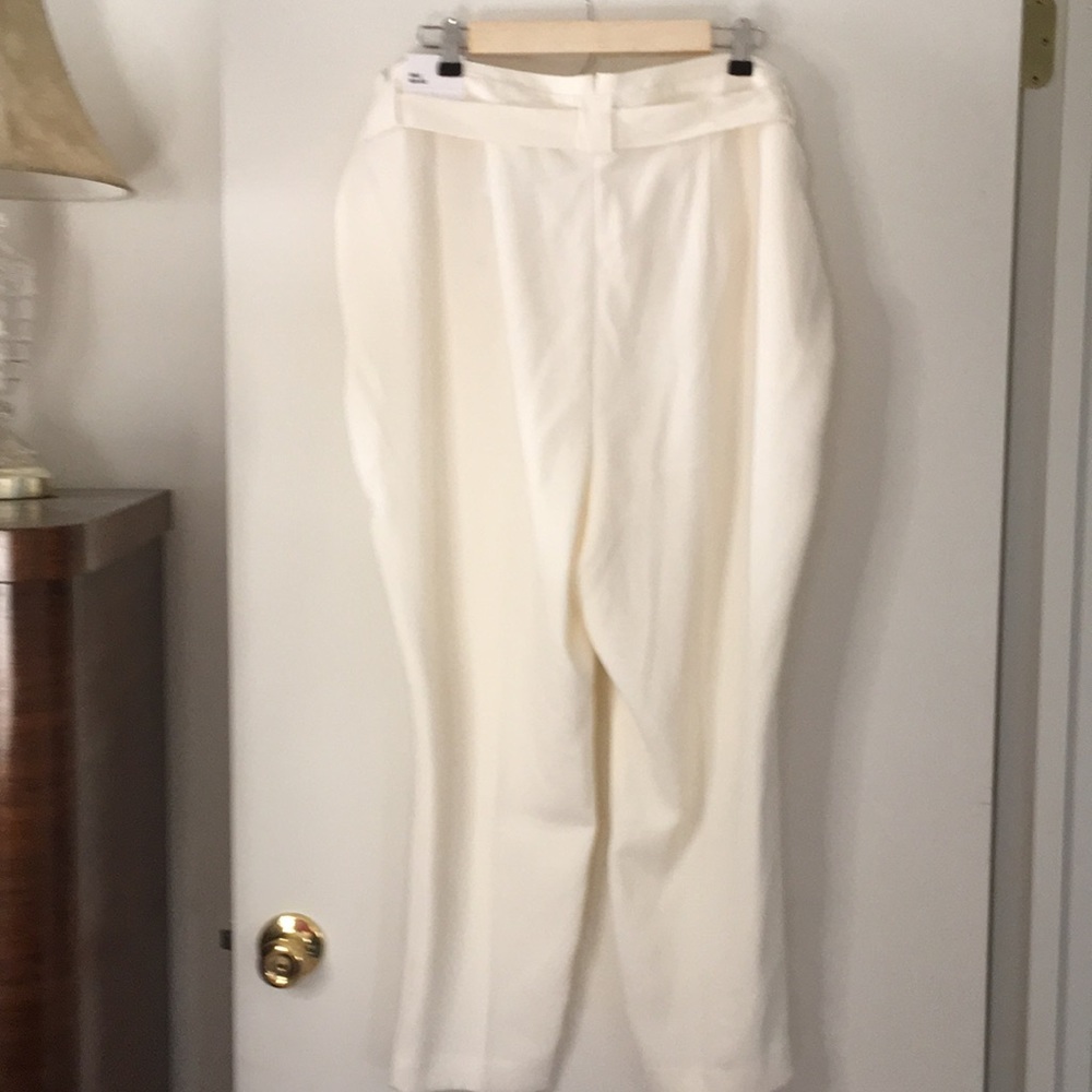 EXPRESS PLUS SIZE DRESS SLACKS - Picture 3 of 9